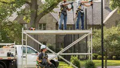 Deer deterrent service protecting trees and landscapes in Burlington, NC