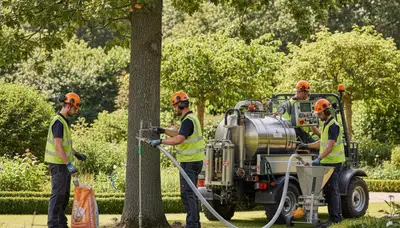 Tree fertilizing service in Burlington, NC by Arbor Tree Care for healthier, stronger trees