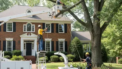 Tree service crew serving Burlington, NC with professional tree removal and trimming services