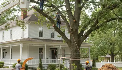 Tree service crew in Burlington, NC providing professional tree care and removal services