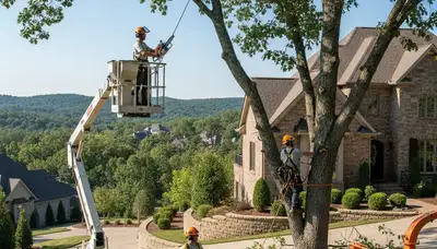 Tree service crew in Burlington, NC providing professional tree trimming and removal services